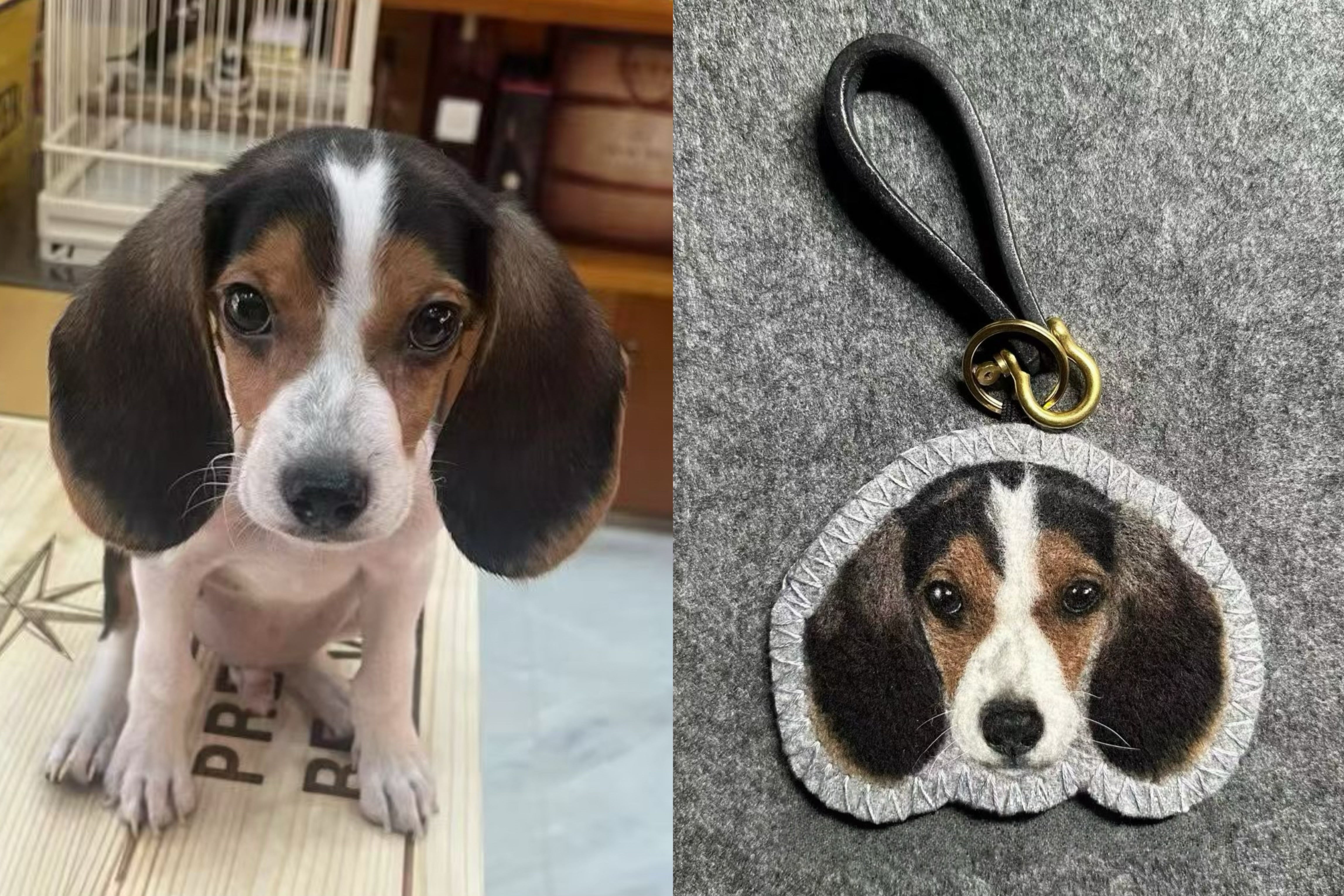 Custom 2D Felted Pet Ornament: Handcrafted Wool Decoration - Photo 10
