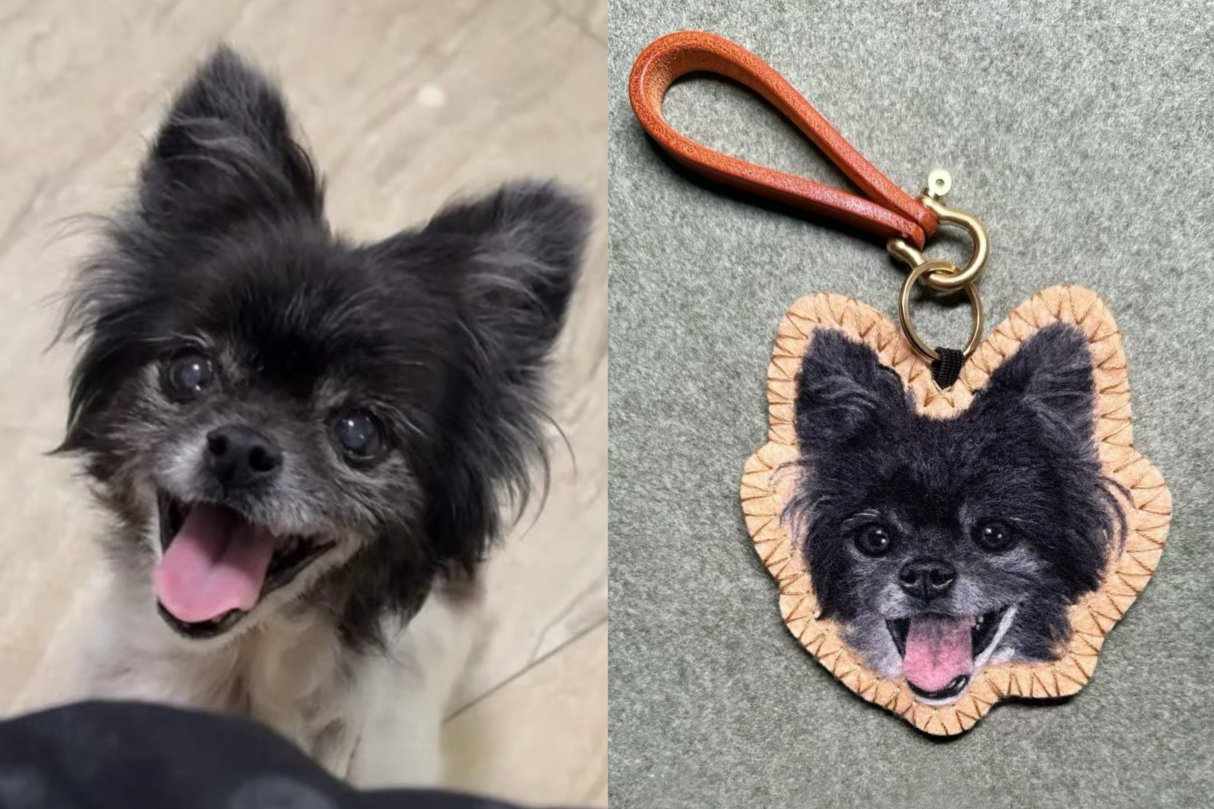 Custom 2D Felted Pet Ornament: Handcrafted Wool Decoration - Photo 11