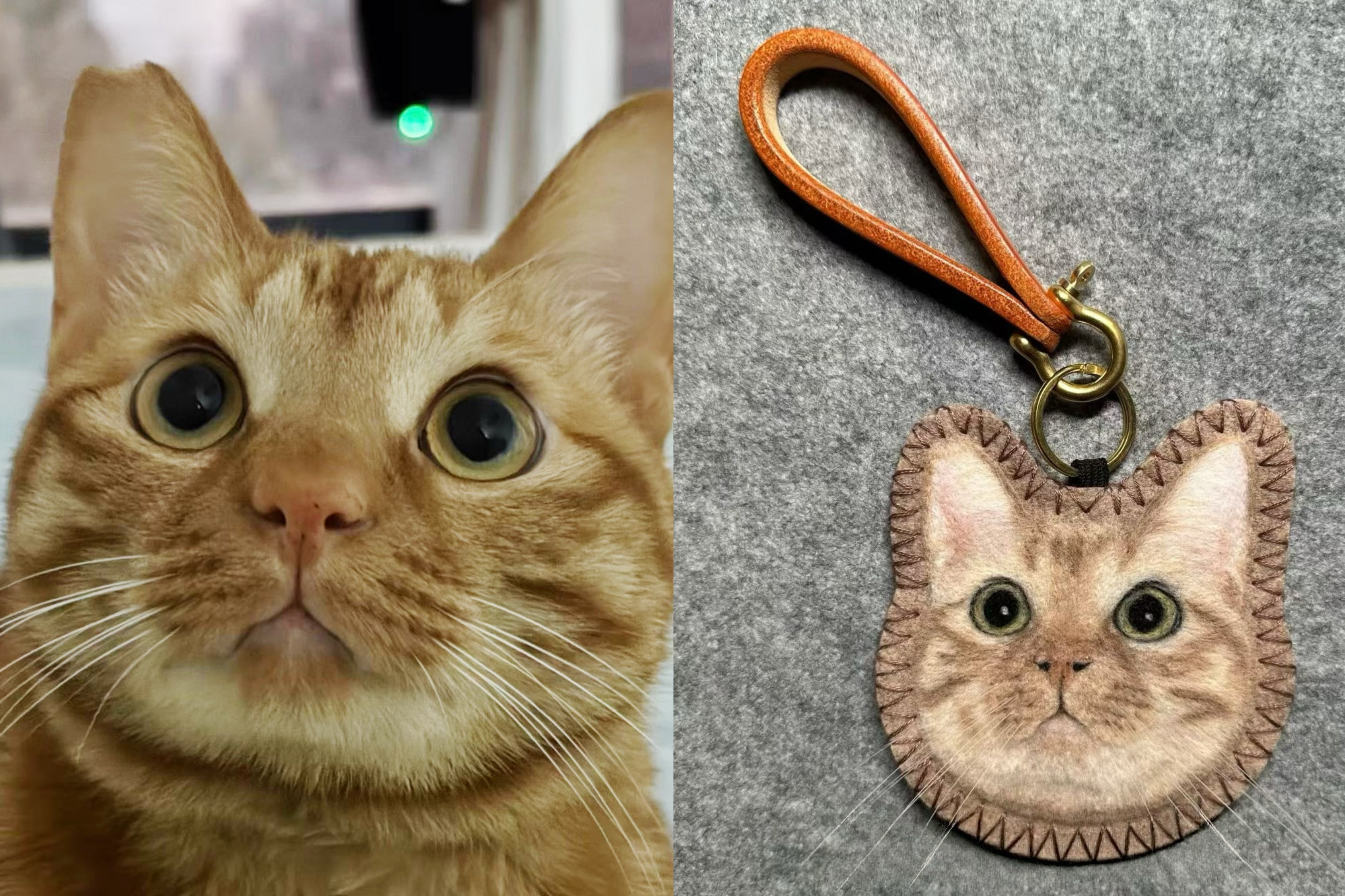 Custom 2D Felted Pet Ornament: Handcrafted Wool Decoration - Photo 5