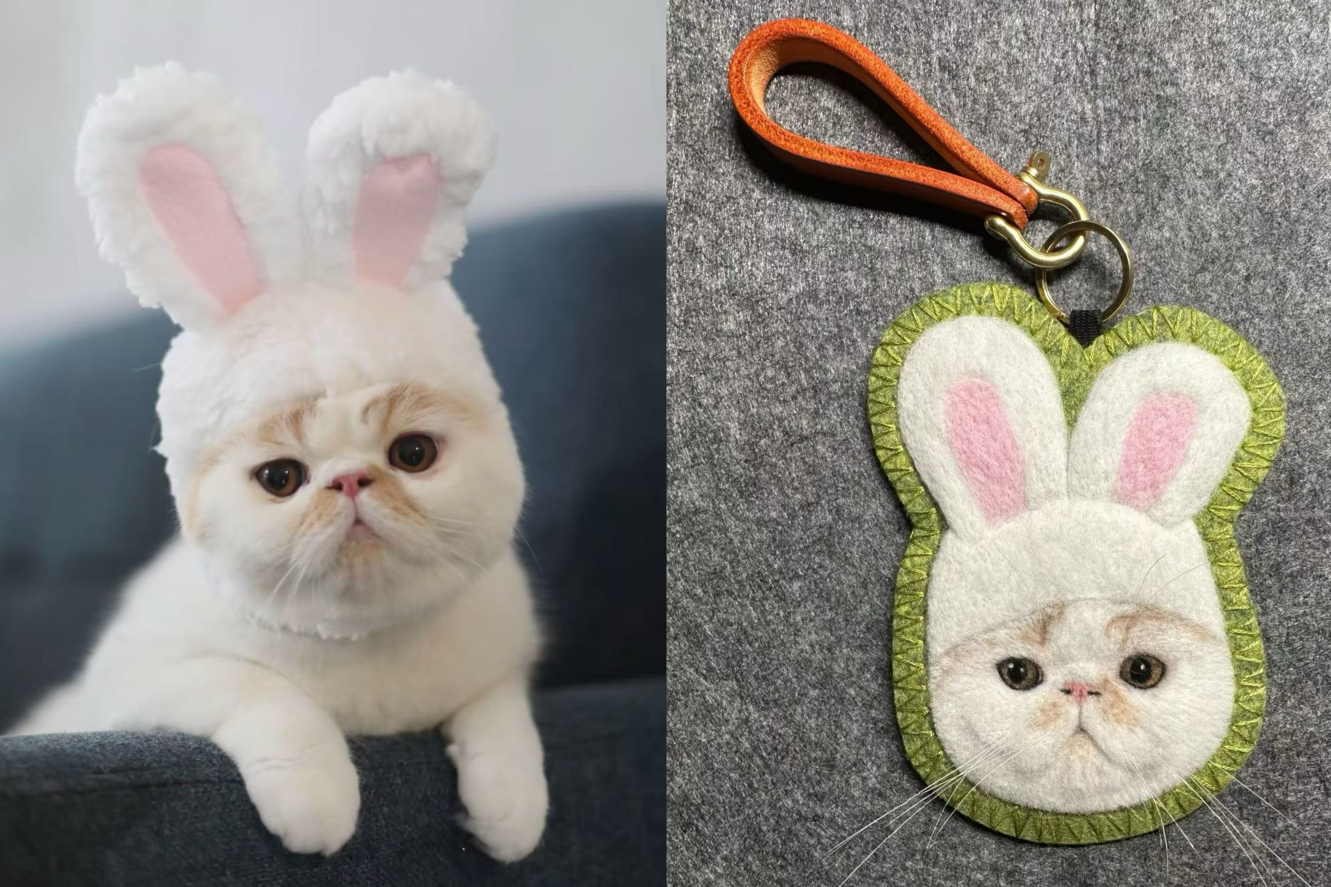 Custom 2D Felted Pet Ornament: Handcrafted Wool Decoration - Photo 6