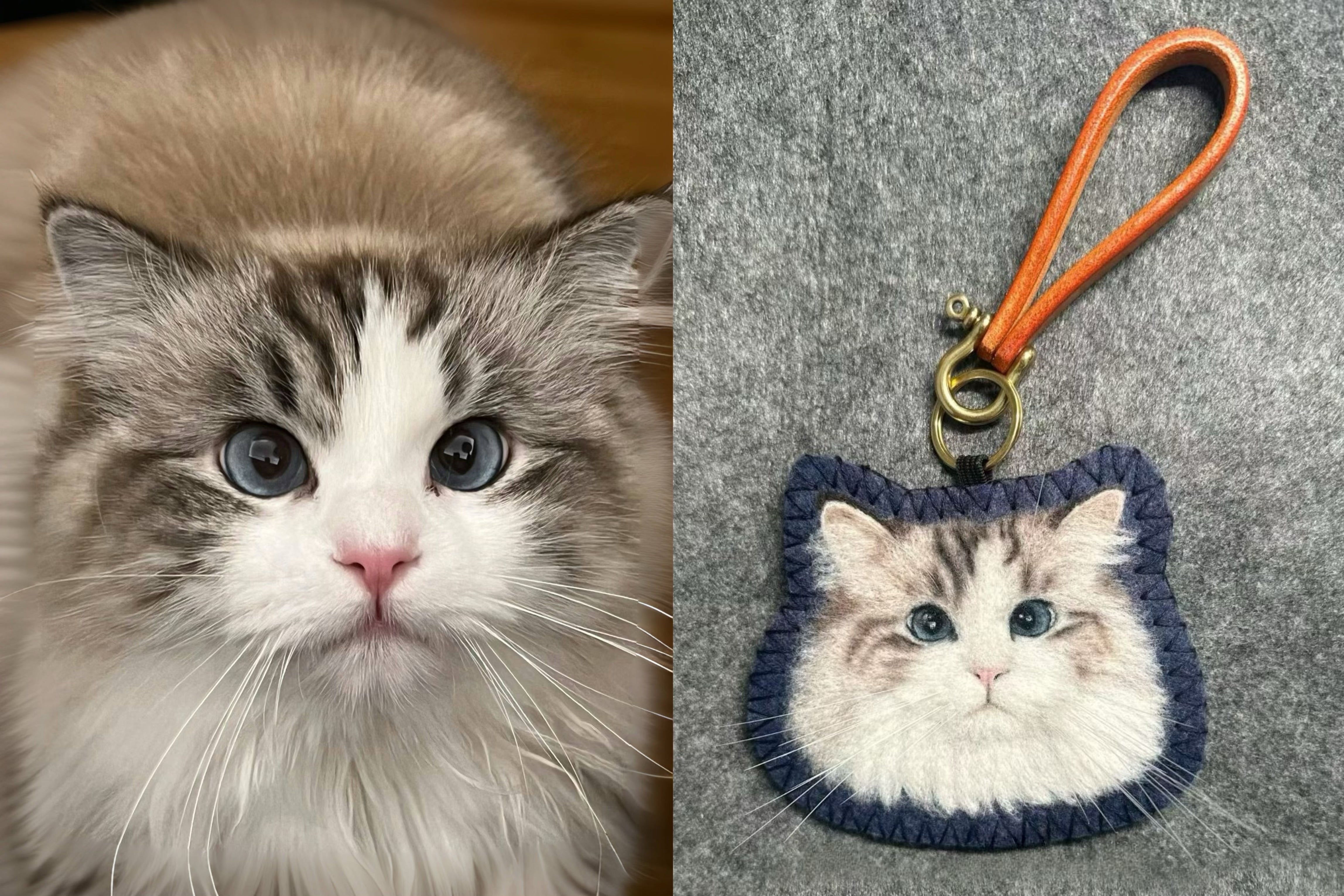 Custom 2D Felted Pet Ornament: Handcrafted Wool Decoration - Photo 7
