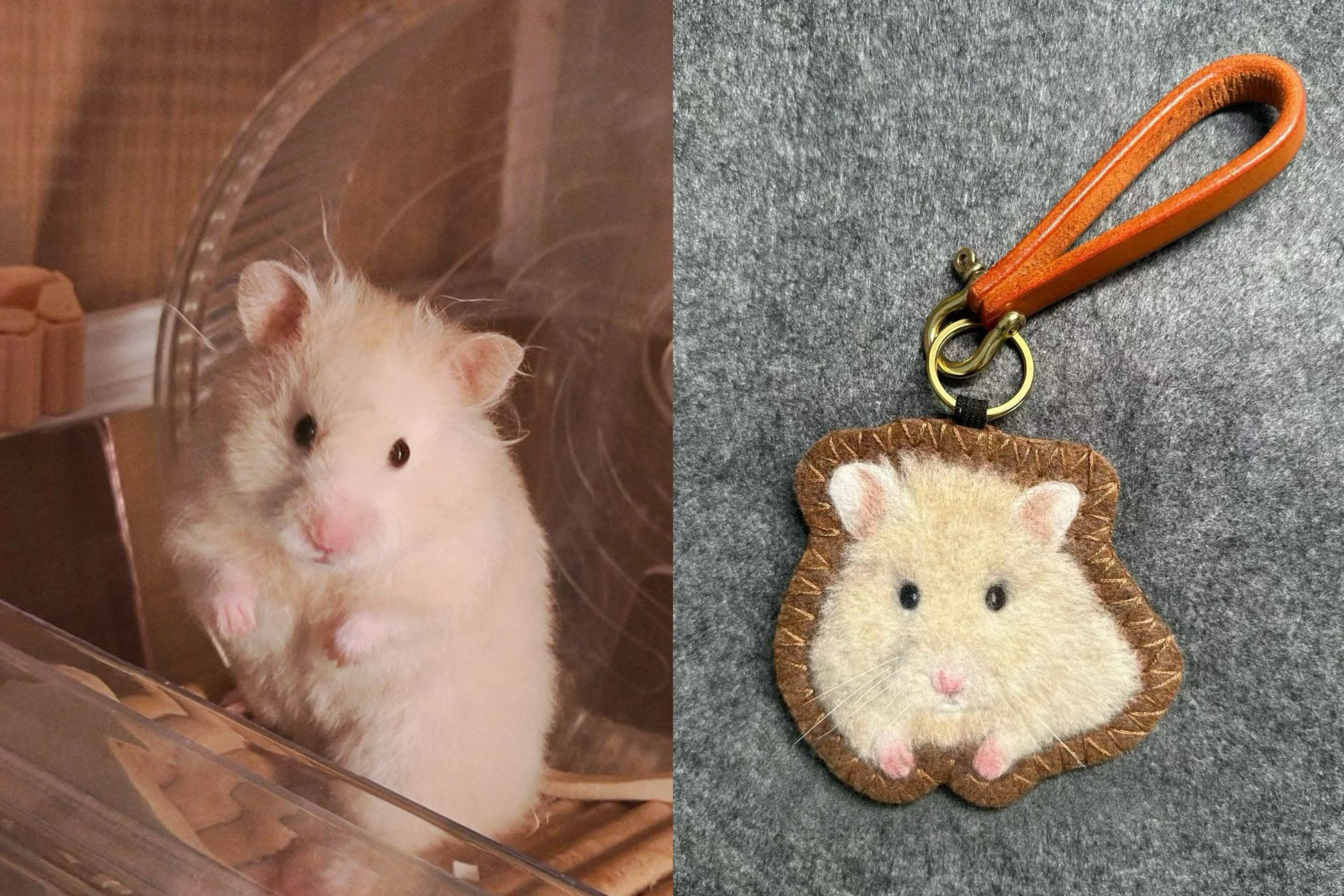 Custom 2D Felted Pet Ornament: Handcrafted Wool Decoration - Photo 8