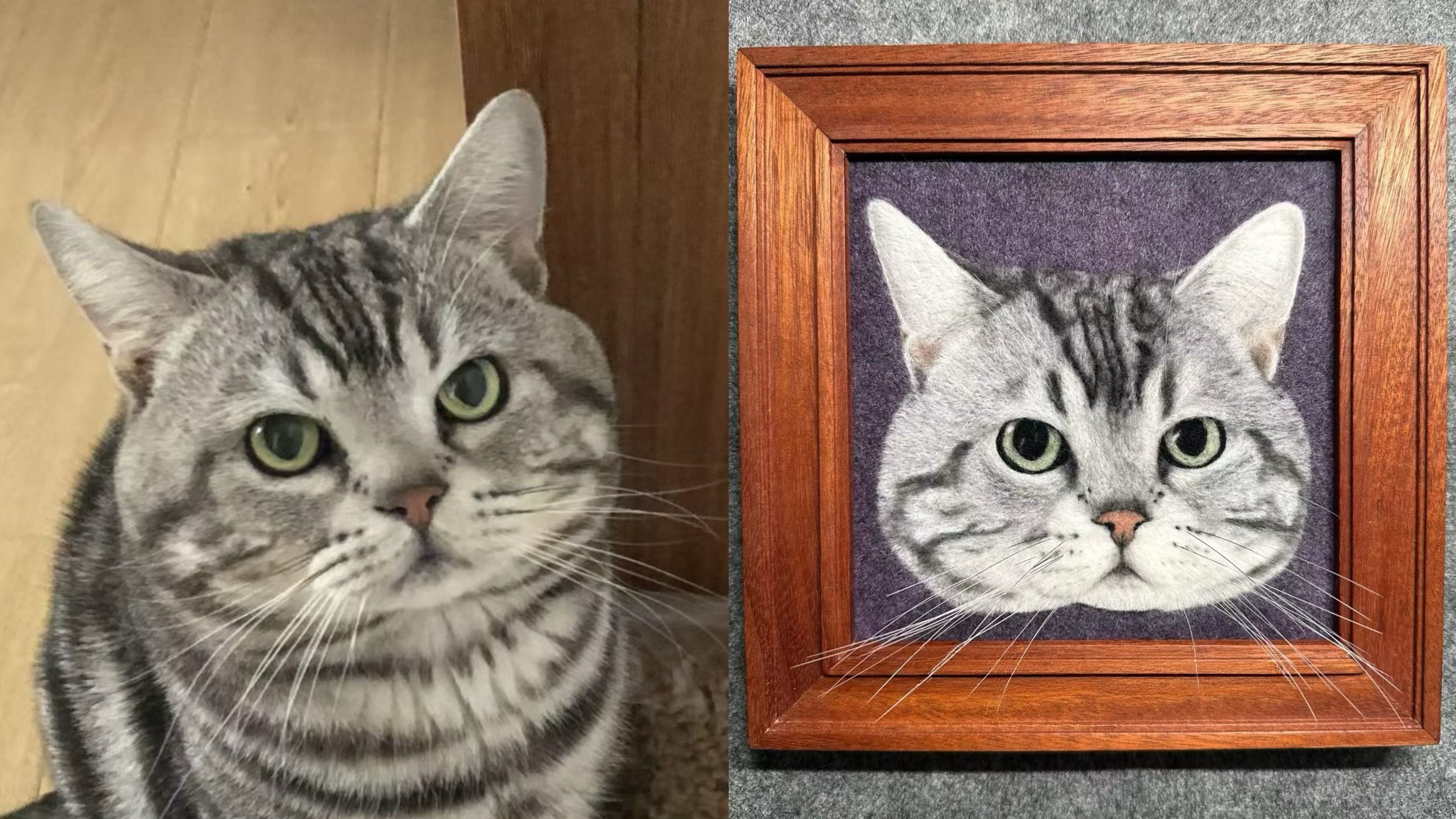 Small 2D Felted Pet Portrait in 15x15cm Wooden Frame - Photo 10