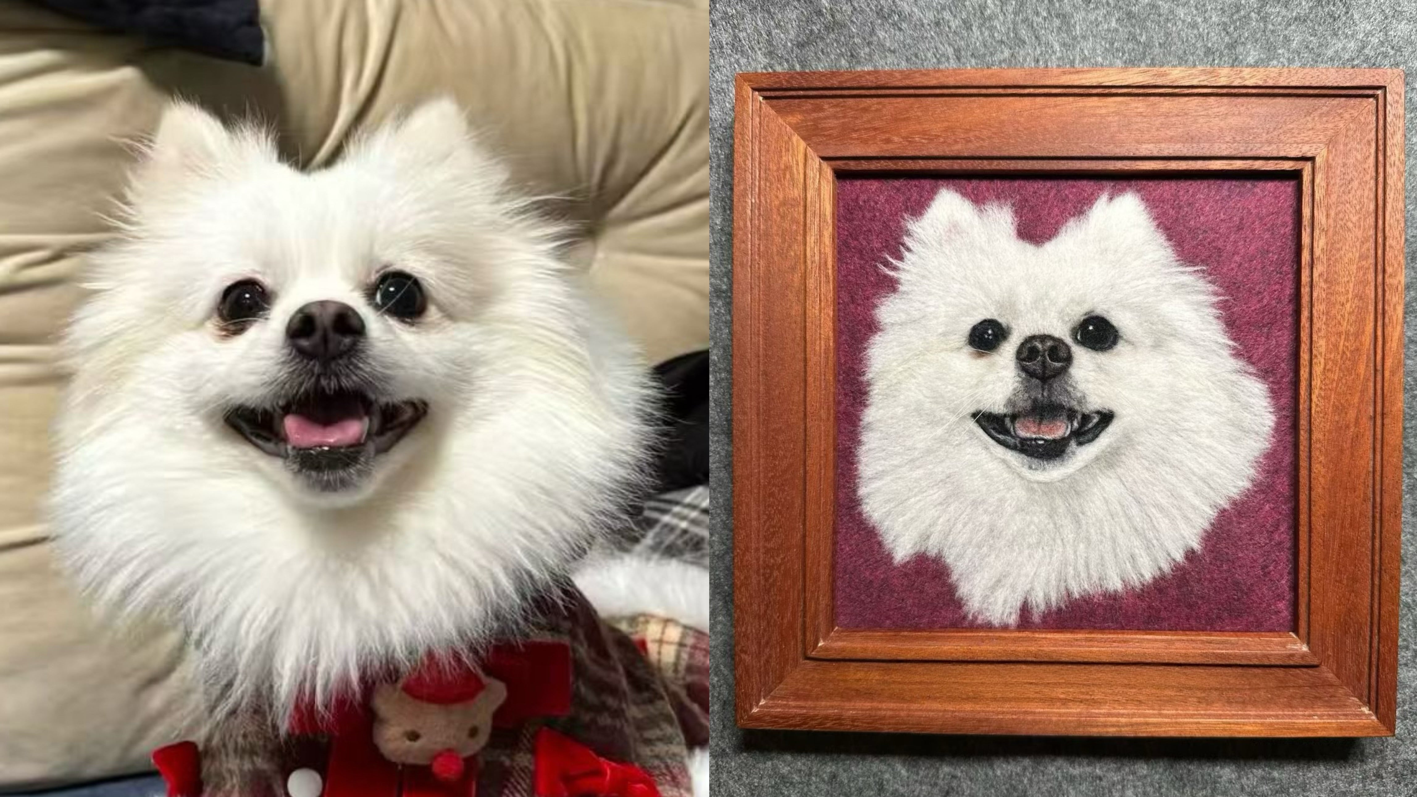 Small 2D Felted Pet Portrait in 15x15cm Wooden Frame - Photo 11