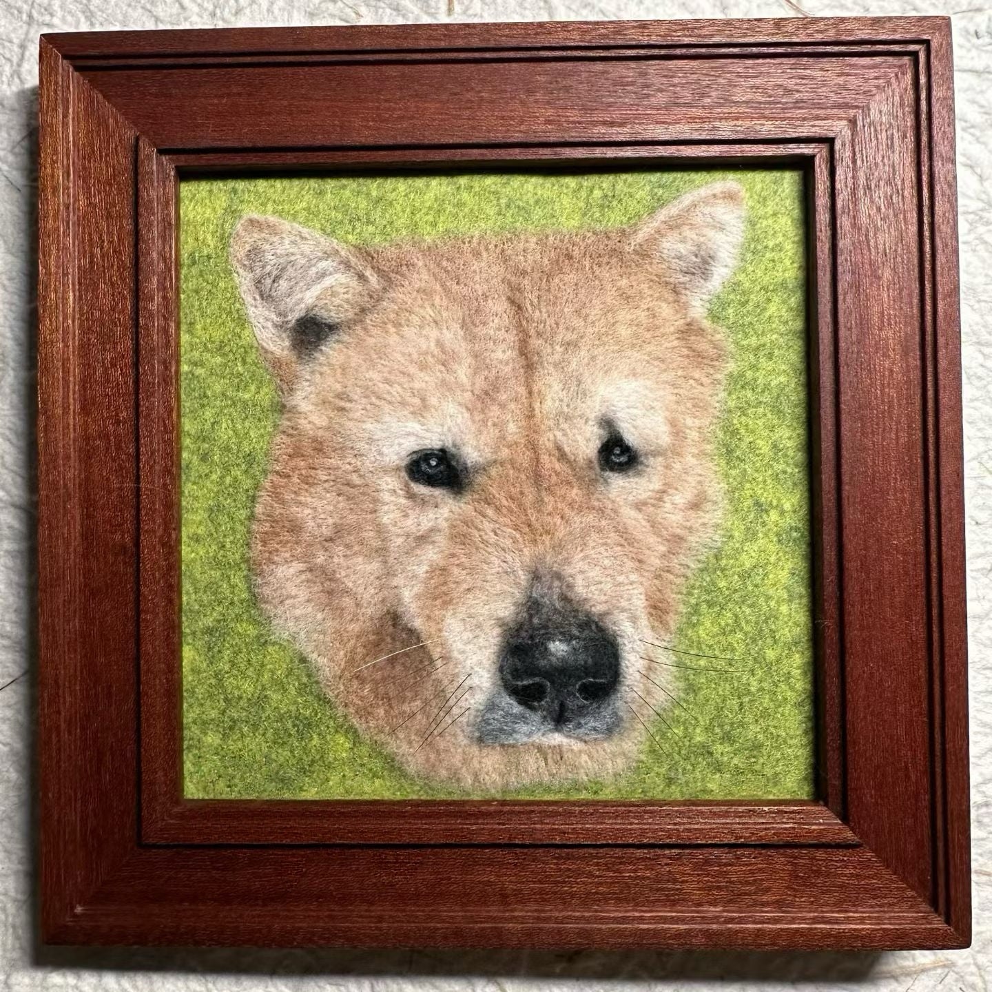 Small 2D Felted Pet Portrait in 15x15cm Wooden Frame - Photo 14