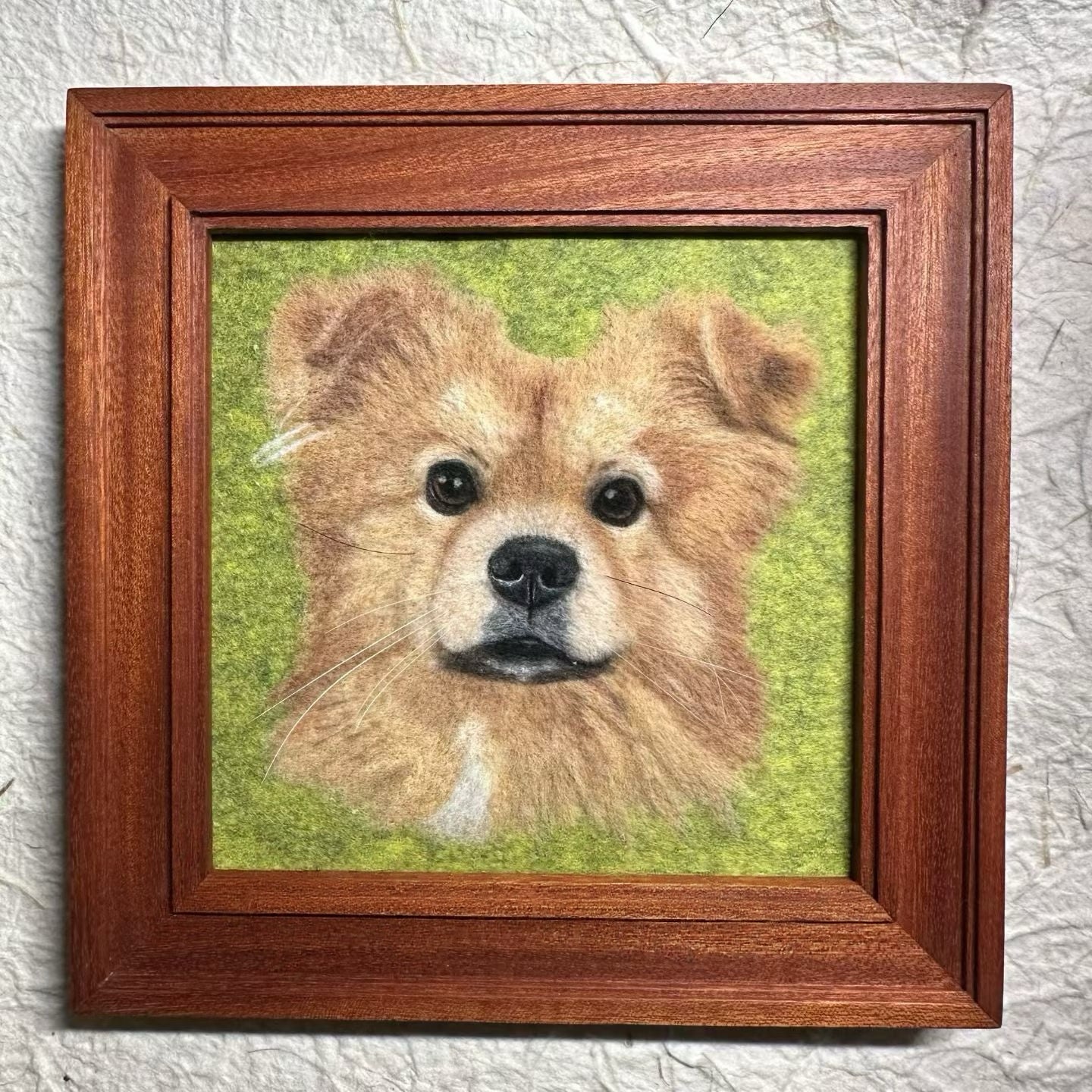 Small 2D Felted Pet Portrait in 15x15cm Wooden Frame - Photo 16