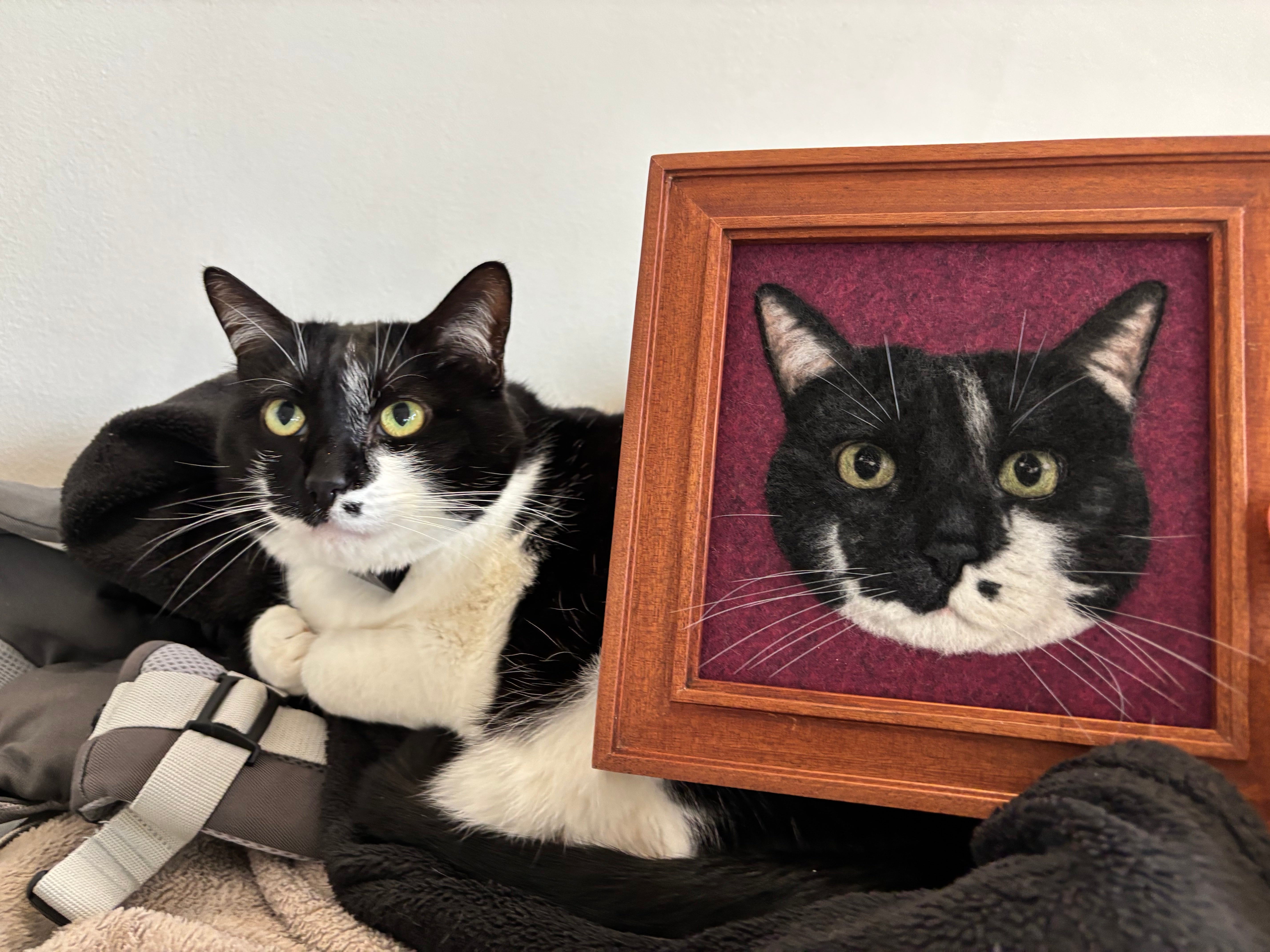 Small 2D Felted Pet Portrait in 15x15cm Wooden Frame - Photo 7