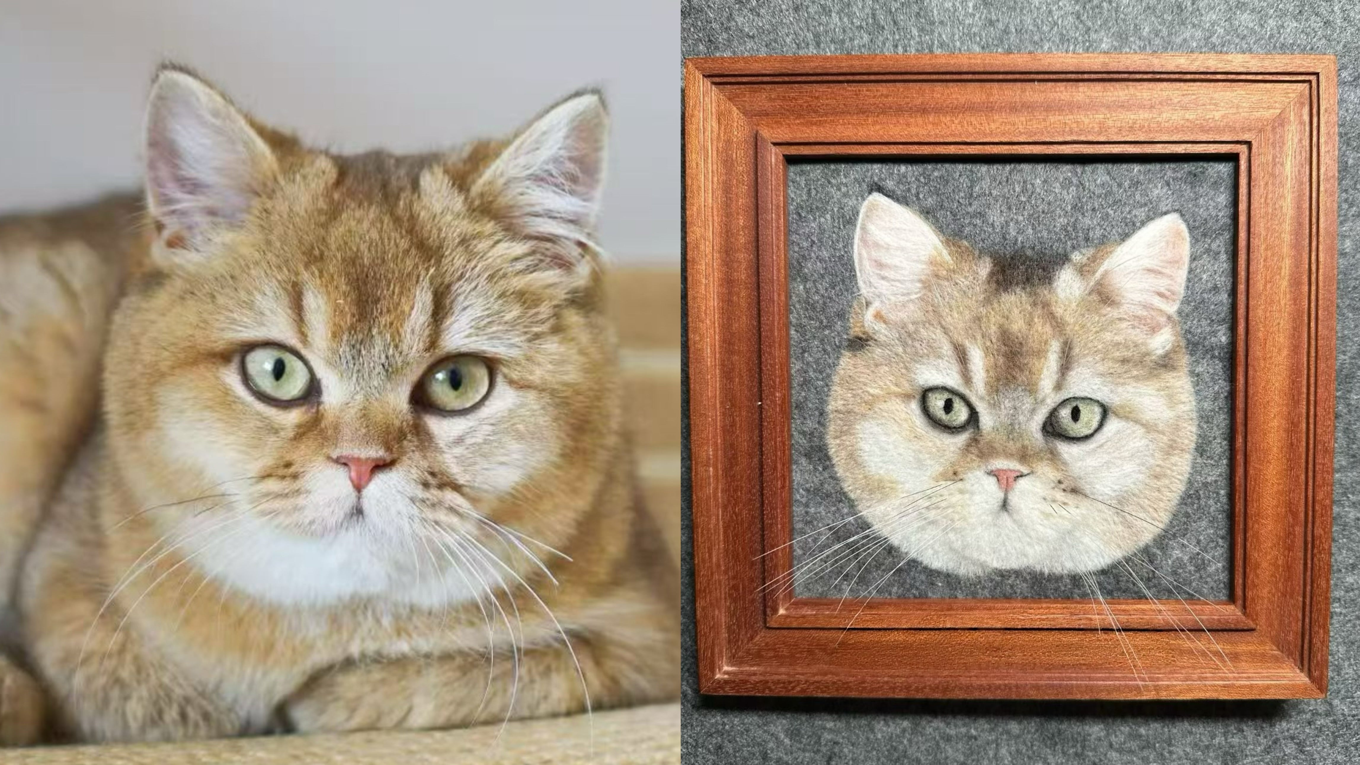 Small 2D Felted Pet Portrait in 15x15cm Wooden Frame - Photo 9