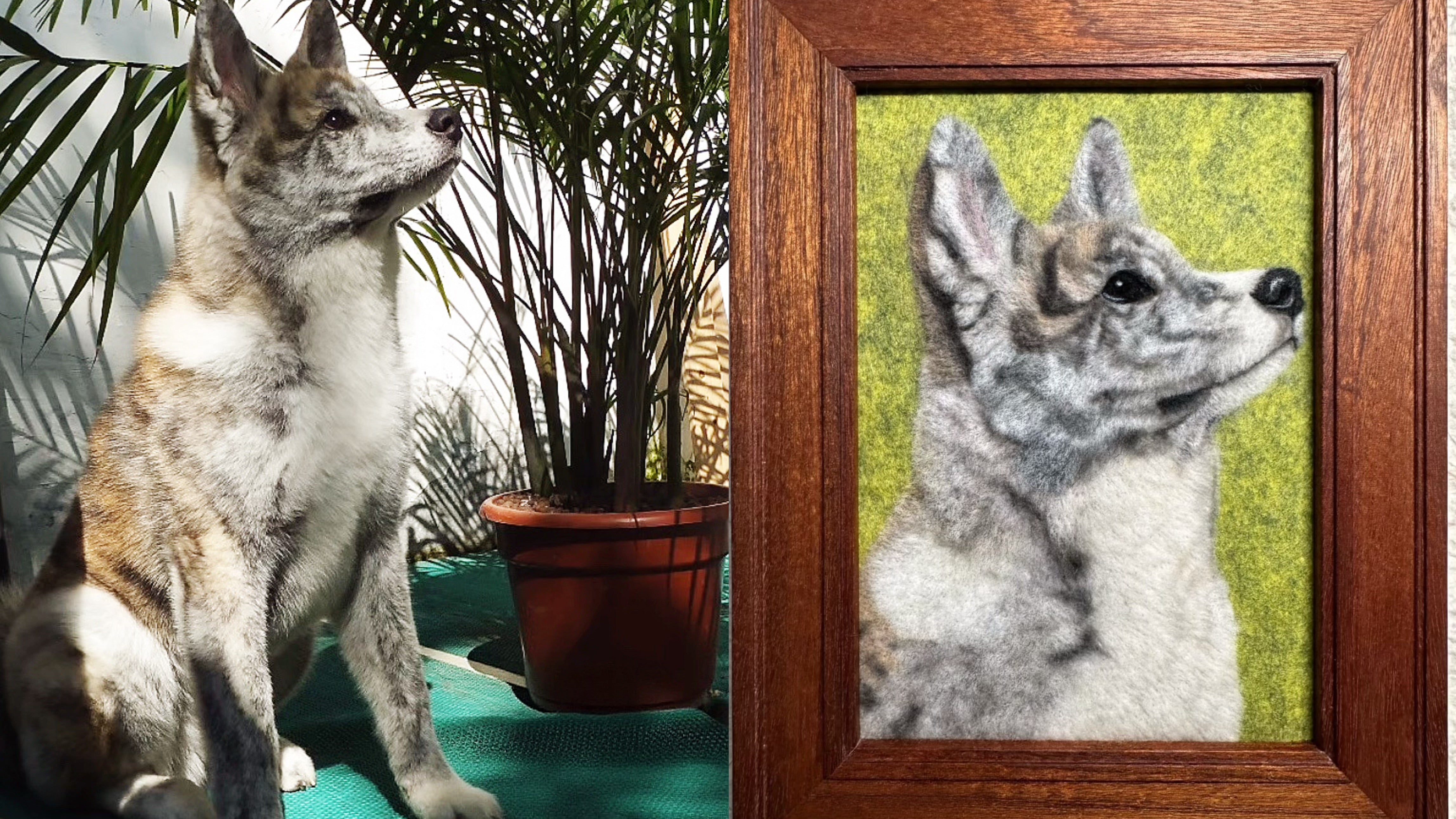 Custom 2D Felted Pet Portrait in Wooden Frame: 4 Sizes - Photo 10