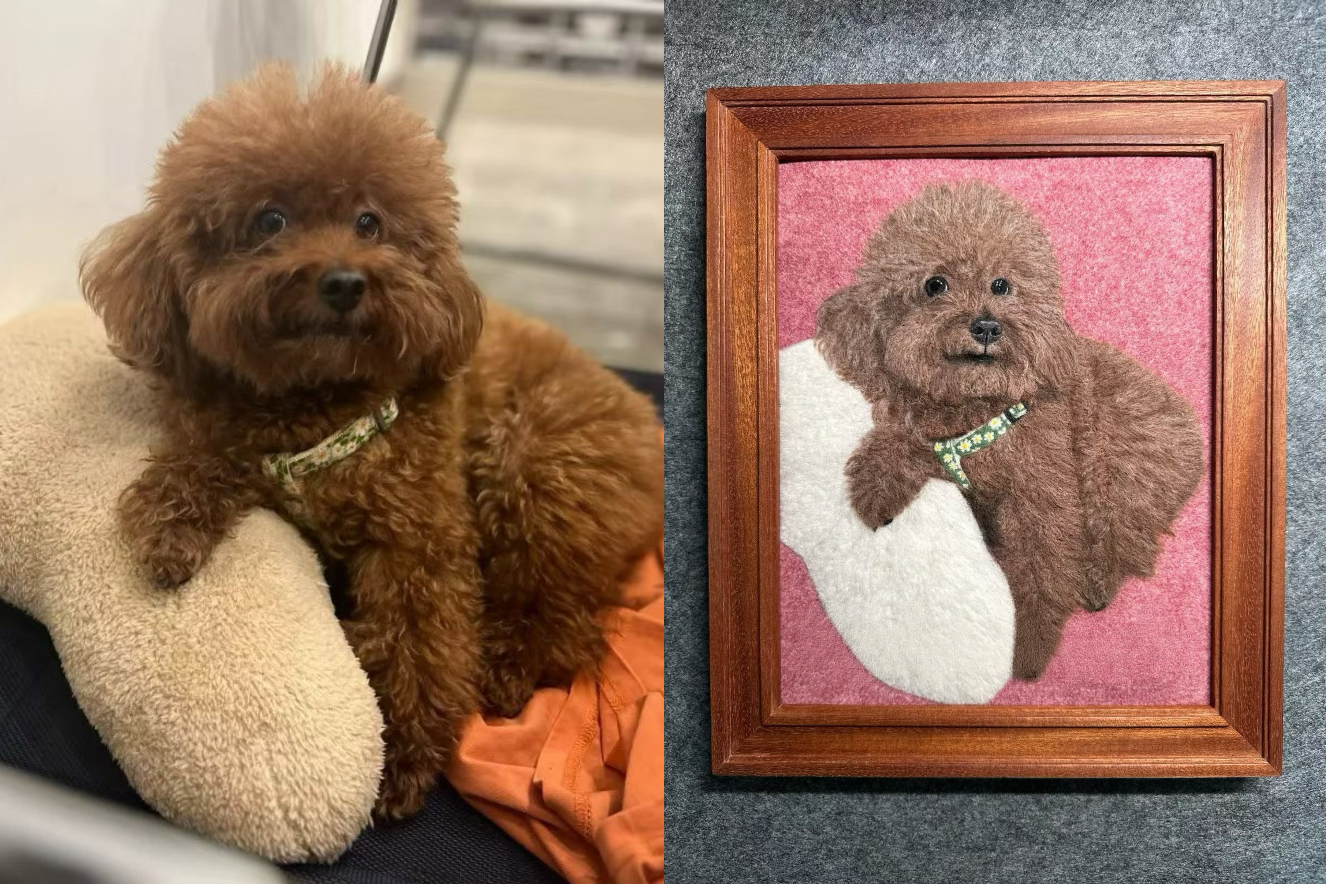 Custom 2D Felted Pet Portrait in Wooden Frame: 4 Sizes - Photo 13