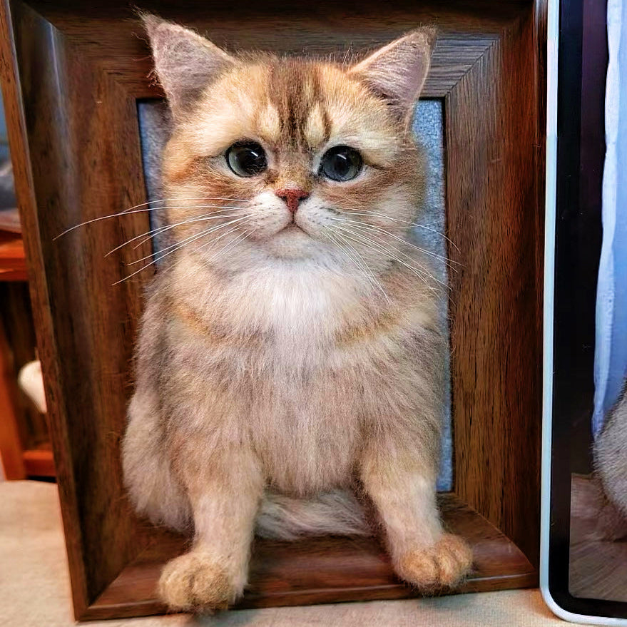 Custom 3D needle felted pet portrait in wooden frame