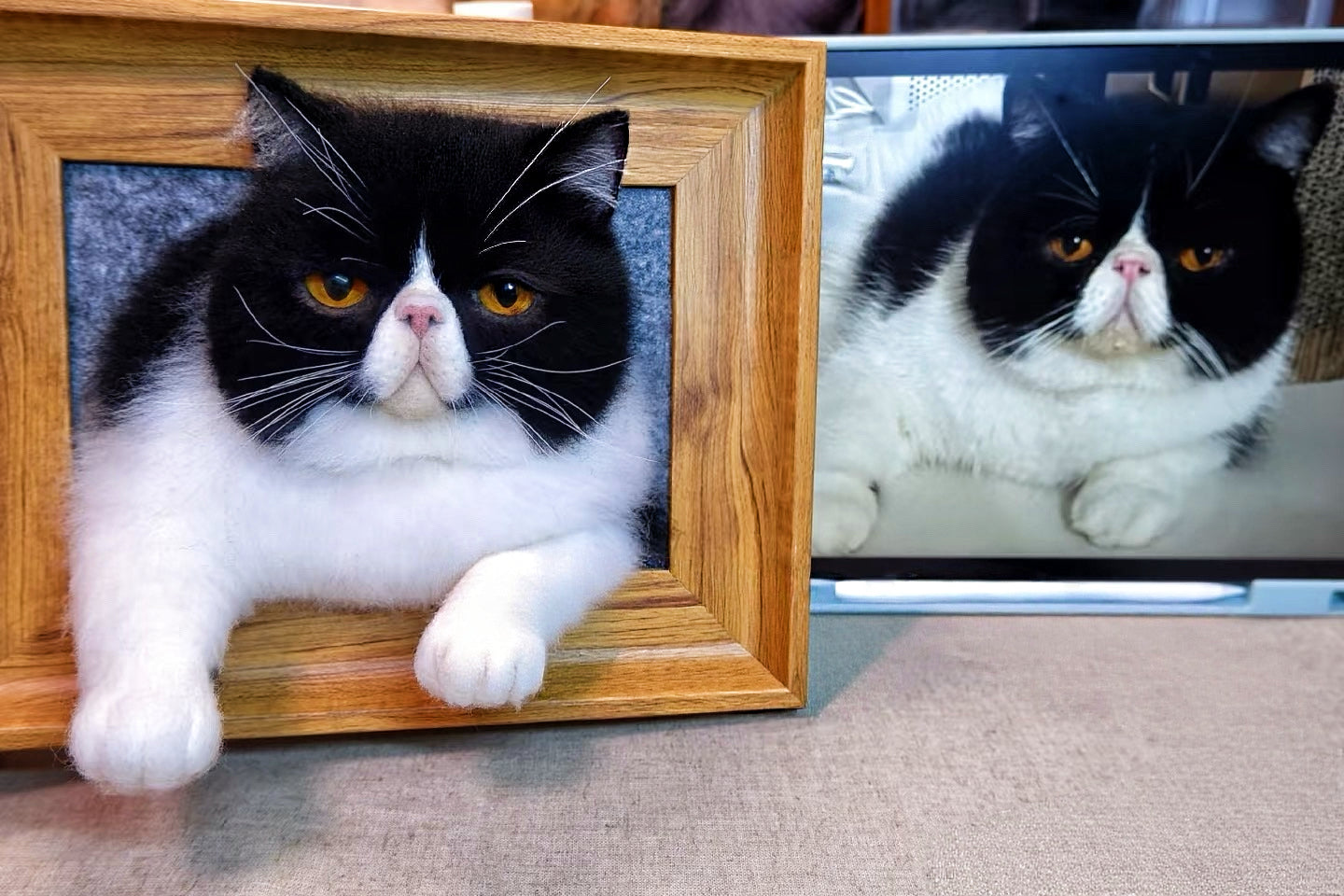Custom 3D Felted Pet Portrait in Wooden Frame: 3 Sizes - Photo 10