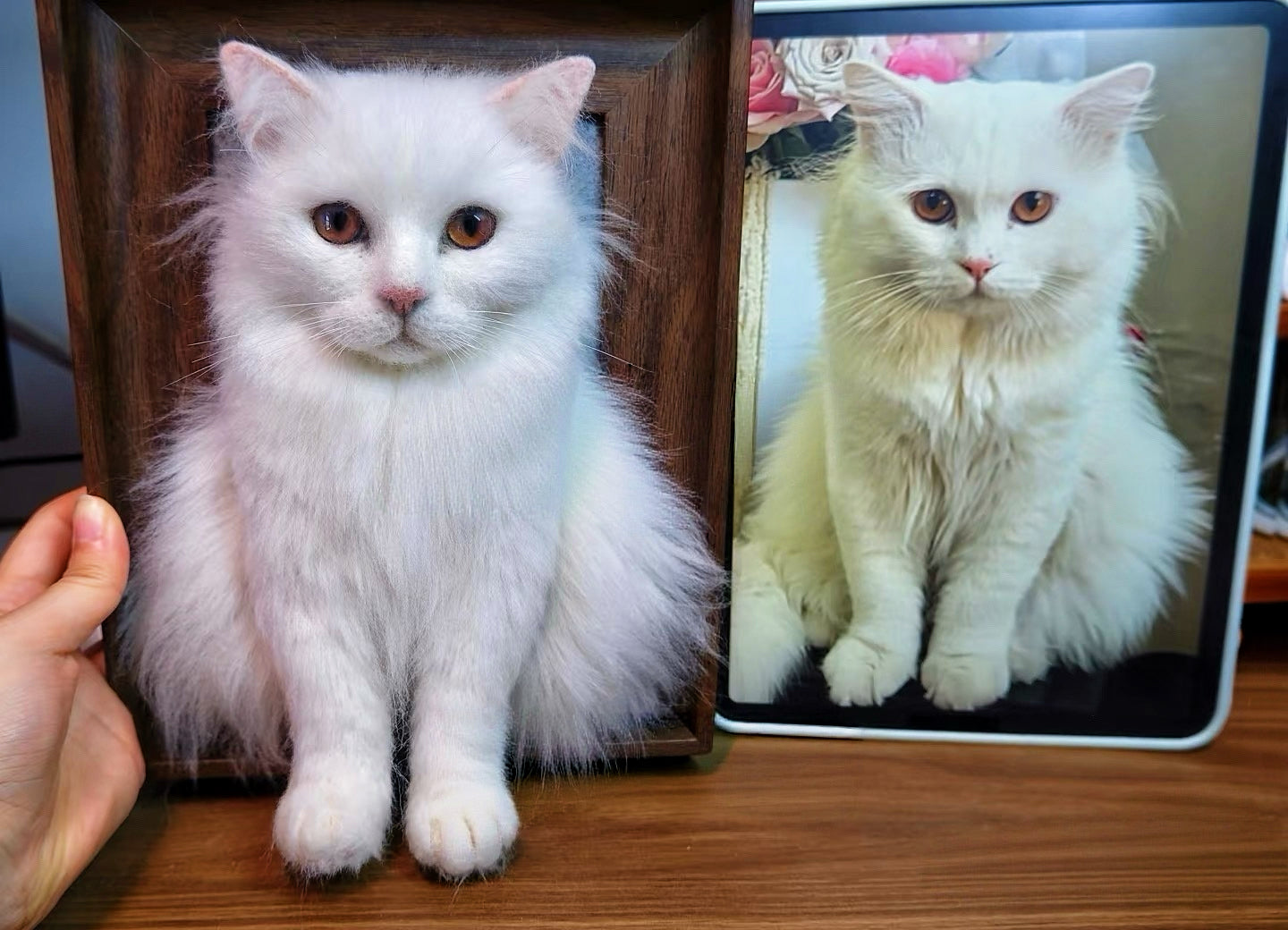 Custom 3D Felted Pet Portrait in Wooden Frame: 3 Sizes - Photo 13