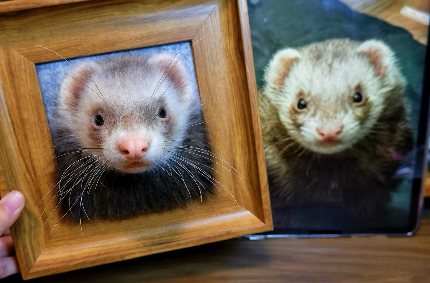 Custom 3D Felted Pet Portrait in Wooden Frame: 3 Sizes - Photo 14