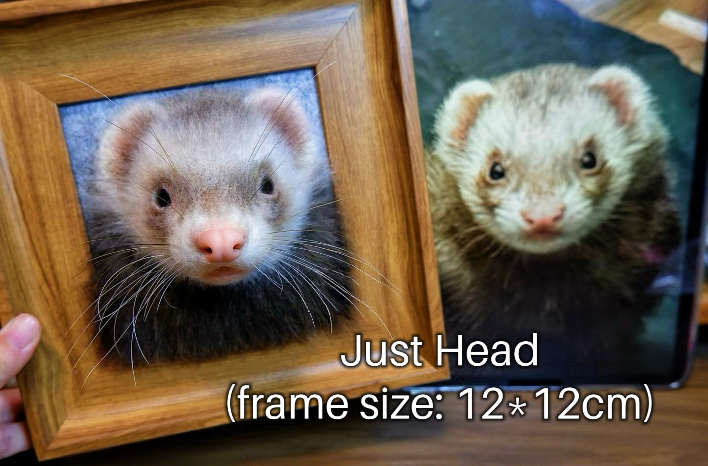 Custom 3D Felted Pet Portrait in Wooden Frame: 3 Sizes - Photo 3