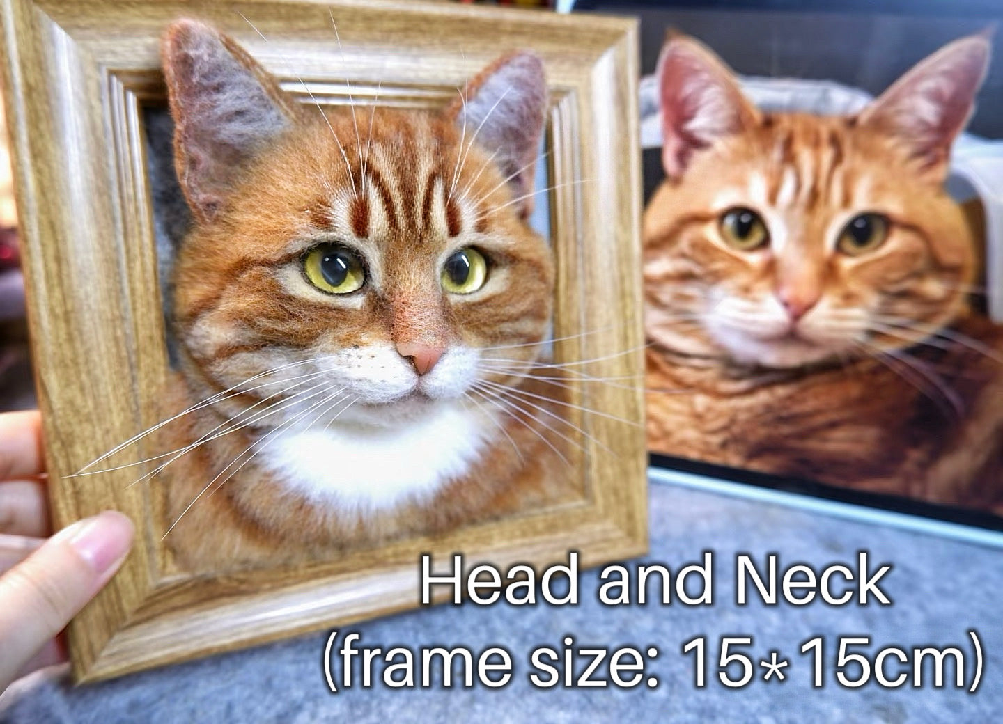 Custom 3D Felted Pet Portrait in Wooden Frame: 3 Sizes - Photo 4