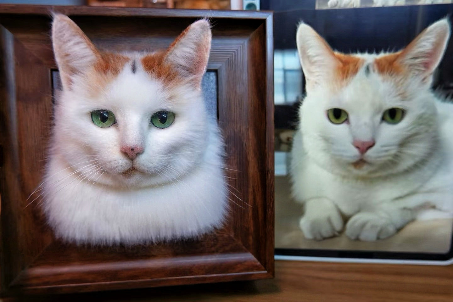 Custom 3D Felted Pet Portrait in Wooden Frame: 3 Sizes - Photo 6