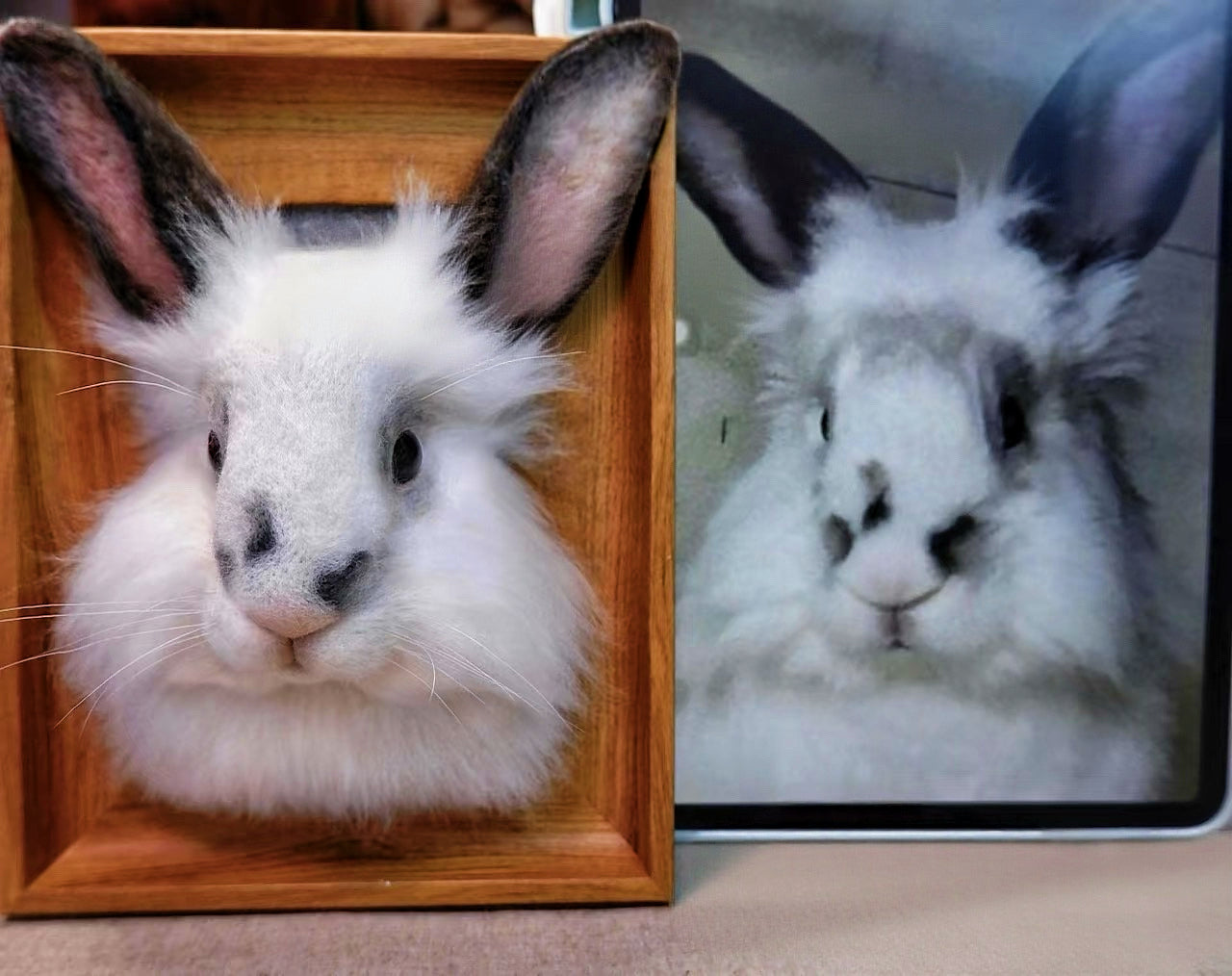 Custom 3D Felted Pet Portrait in Wooden Frame: 3 Sizes - Photo 7