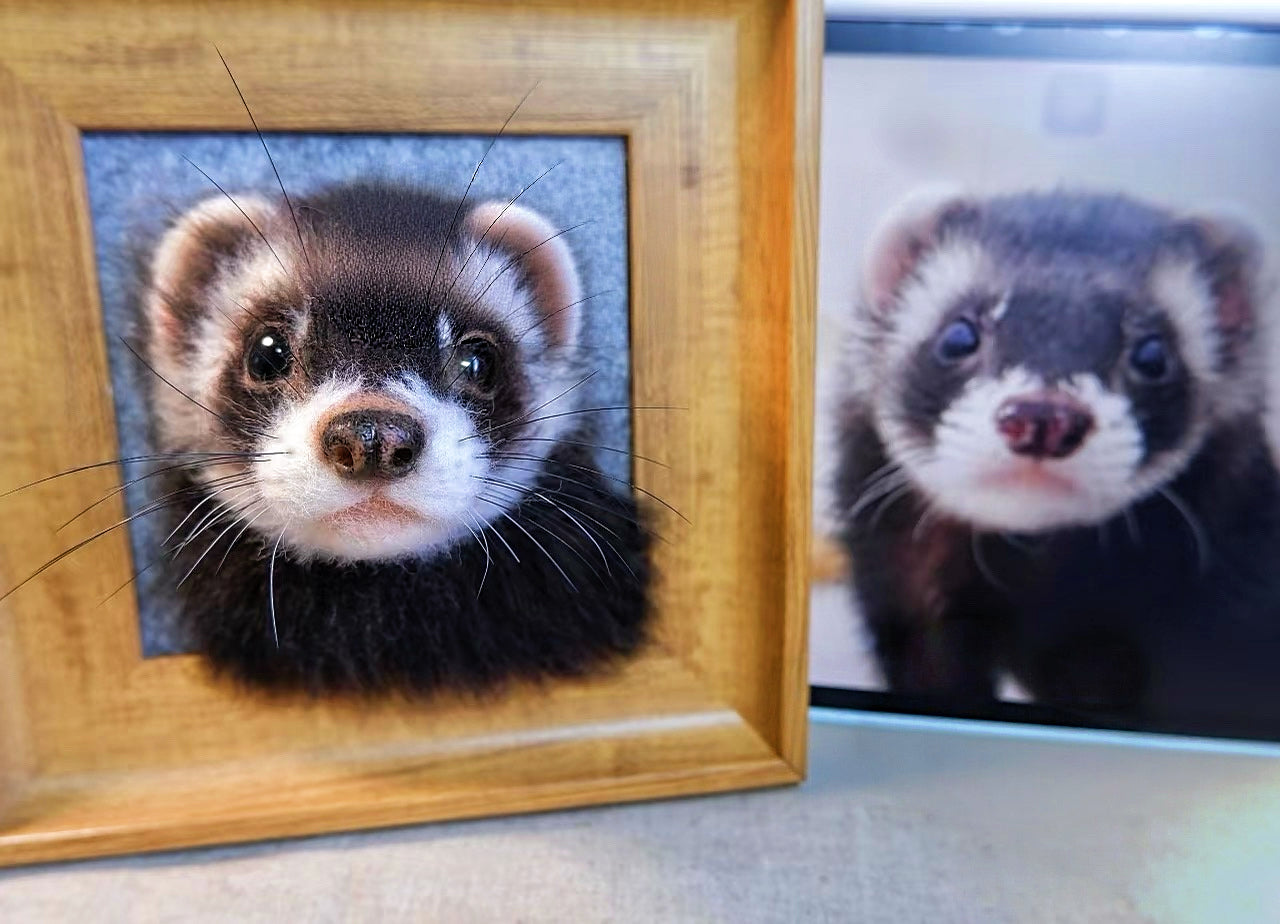 Custom 3D Felted Pet Portrait in Wooden Frame: 3 Sizes - Photo 9