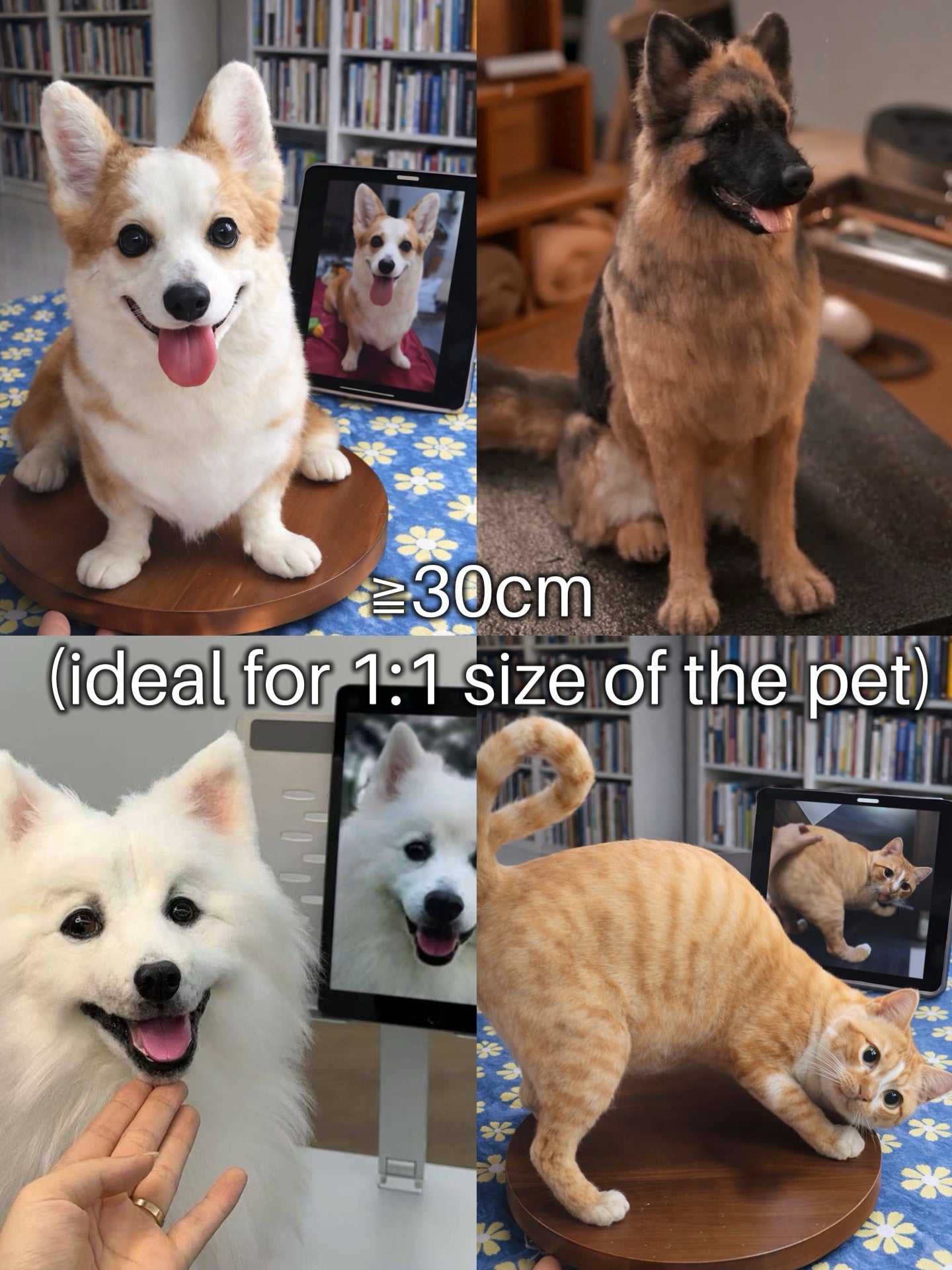 Custom 3D Felted Pet Sculpture/Statue (different sizes) - Photo 10