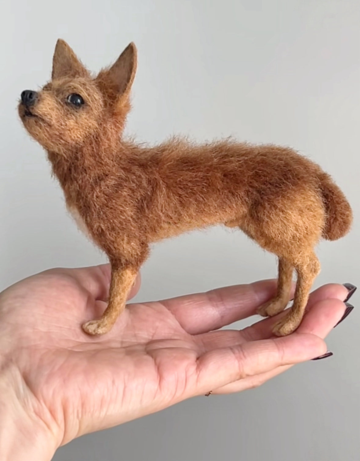 Custom 3D Felted Pet Sculpture/Statue (different sizes) - Photo 18