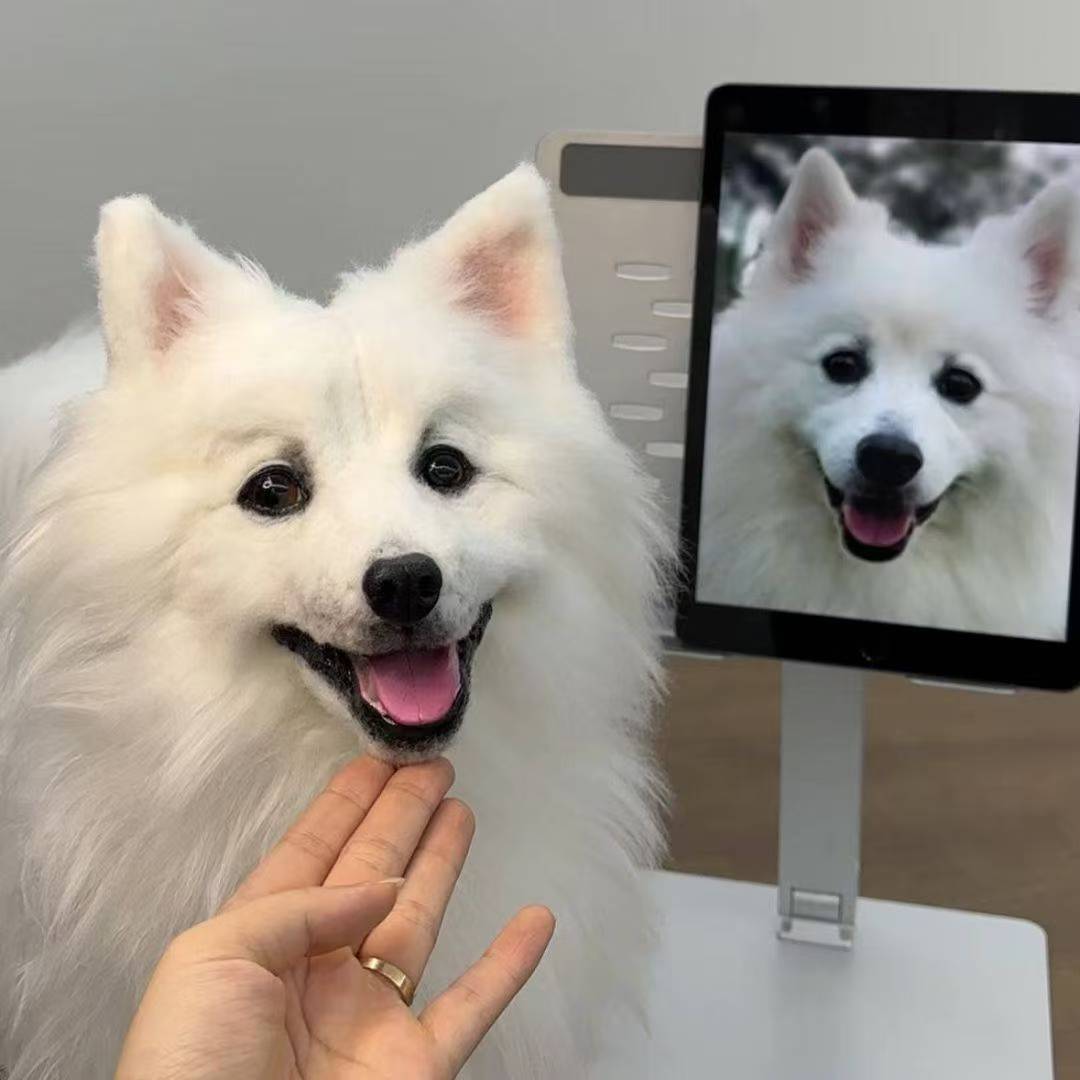 Custom 3D Felted Pet Sculpture/Statue (different sizes) - Photo 23